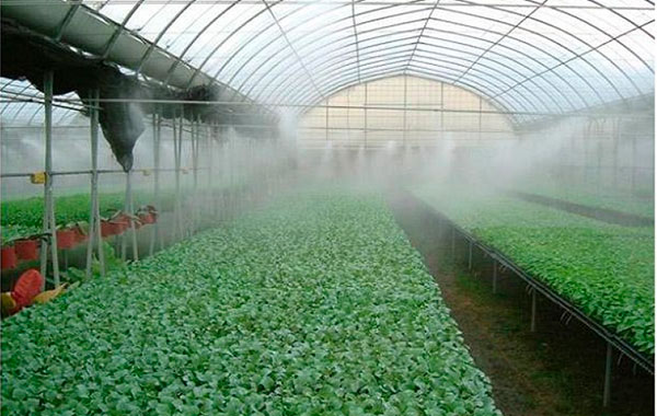 Сельское хозяйство